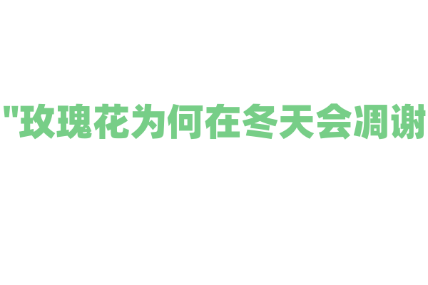 "玫瑰花为何在冬天会凋谢？"